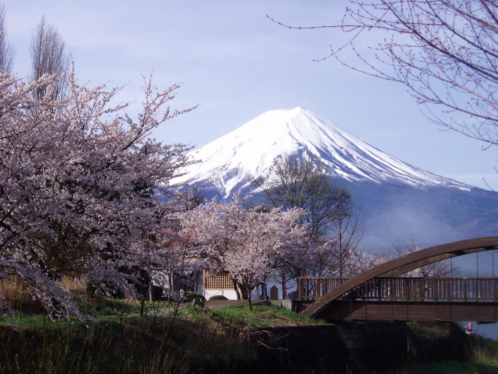Komaya Ryokan Fujikawaguchiko Exterior photo